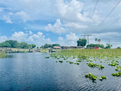 A serene waterway with lily pads, surrounded by lush greenery and a cloudy blue sky, with power lines in the background.