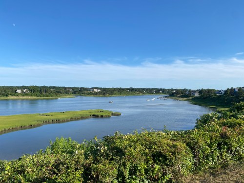 A serene view of a river surrounded by greenery and distant houses under a clear blue sky.