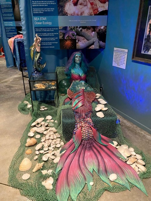 A colorful mermaid statue lounges on a bed of shells and netting, surrounded by ocean-themed displays.