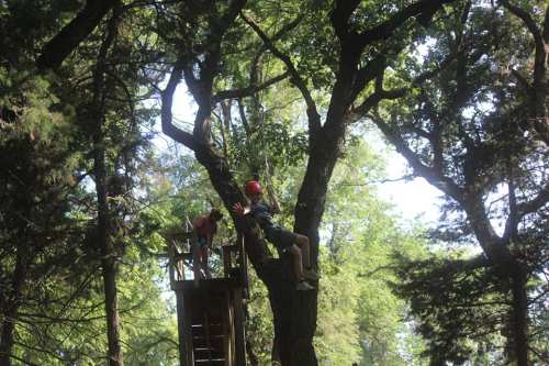 A child in a helmet swings from a tree while another child climbs a nearby wooden play structure in a forested area.