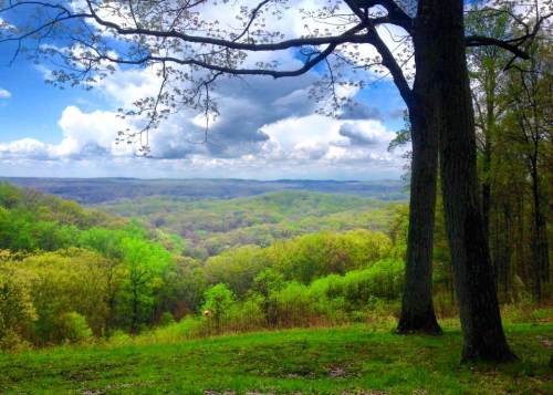 A scenic view of rolling green hills under a partly cloudy sky, framed by trees in the foreground.