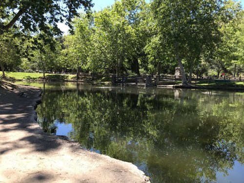 A serene park scene featuring a calm pond surrounded by lush green trees and a sandy bank.