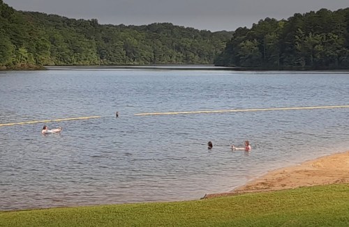 People swimming in a calm lake surrounded by trees, with a sandy shore in the foreground.