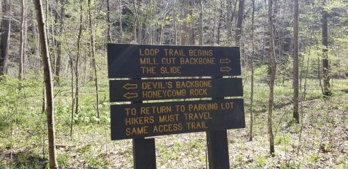 Signpost in a forest with trail directions: Loop Trail, Mill Cut Backbone, The Slide, Devil's Backbone, Honeycomb Rock.