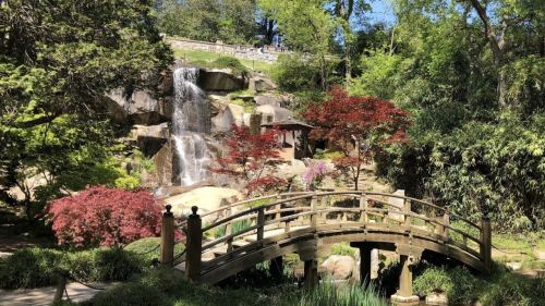 A serene garden scene featuring a wooden bridge, vibrant trees, and a cascading waterfall surrounded by lush greenery.