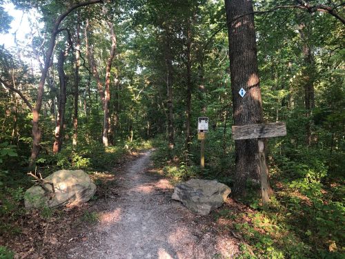 A wooded trail with a signpost and a blue trail marker, surrounded by lush greenery and large rocks.