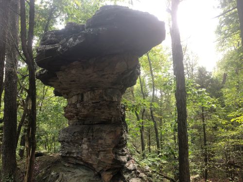 A large, flat-topped rock formation stands tall among green trees in a forested area. Sunlight filters through the leaves.