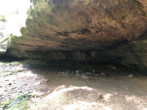 A rocky cave with a large overhang, surrounded by greenery and a dirt floor. Sunlight filters in from the entrance.