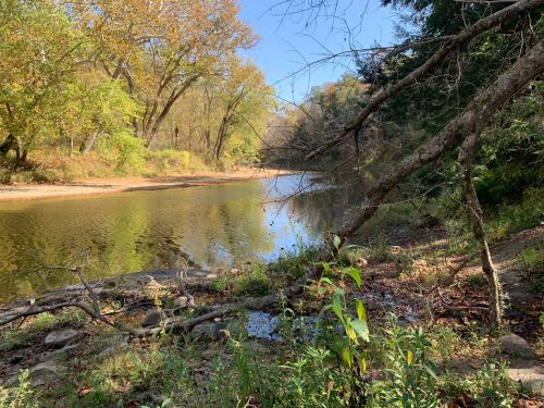 A serene river scene surrounded by trees, with calm water reflecting the blue sky and autumn foliage.