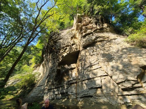 A rocky cliff surrounded by lush greenery, with a person sitting near the water at the base.
