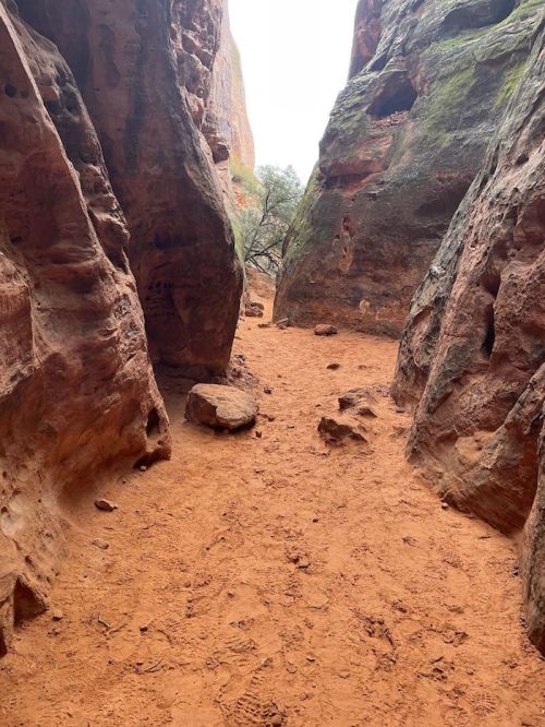 Narrow canyon with red rock walls and sandy ground, leading to a bright opening in the distance.