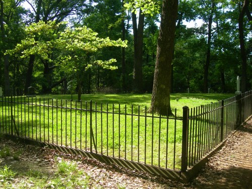 A grassy area enclosed by a black iron fence, surrounded by trees in a peaceful, natural setting.