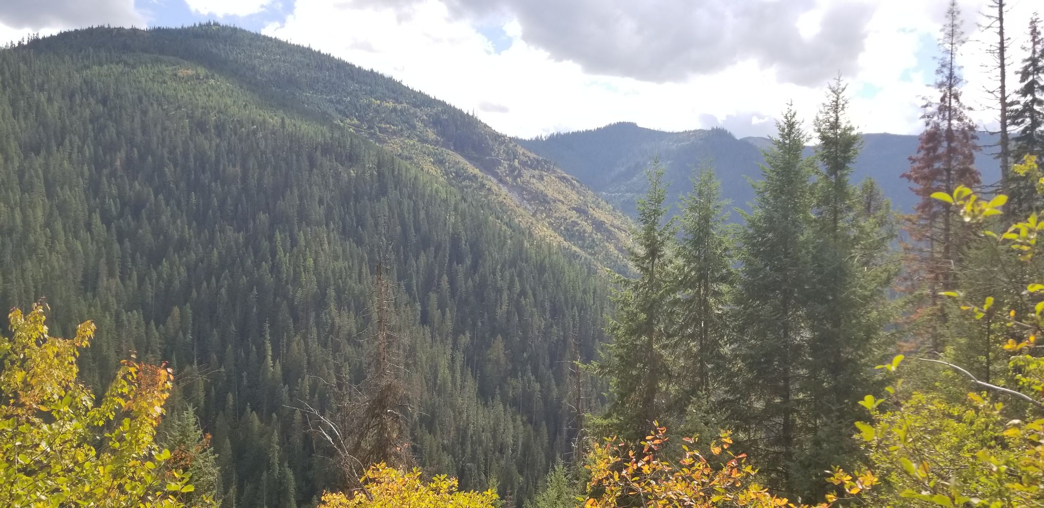 St. Joe NF Trail 17 Is A Gorgeous Forest Trail In Idaho That Will Take 