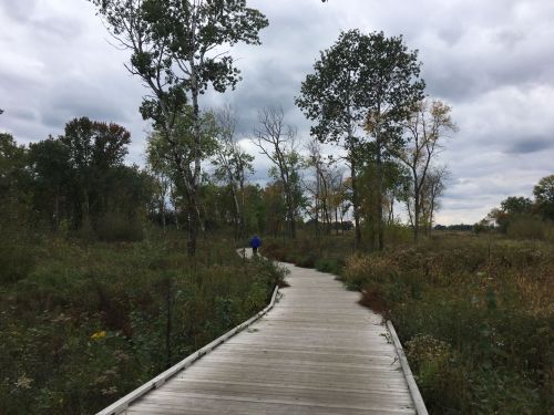 A wooden boardwalk winds through a lush, green landscape under a cloudy sky.
