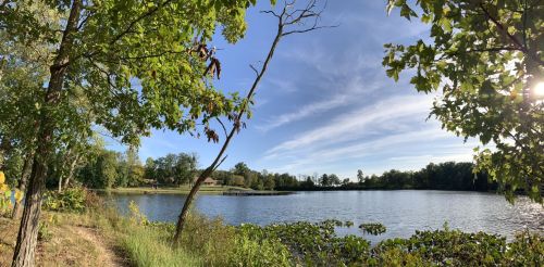 A serene lake surrounded by trees under a clear blue sky, with gentle ripples on the water's surface.