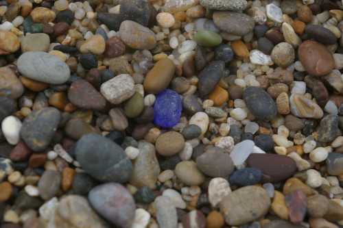 A variety of smooth, colorful pebbles and stones scattered on a surface, with a single blue stone among them.