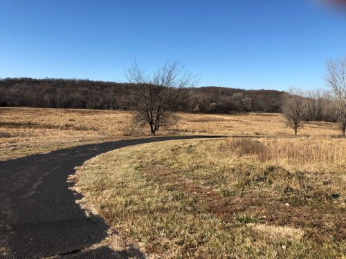 A winding path through a grassy field, with sparse trees and a clear blue sky in the background.