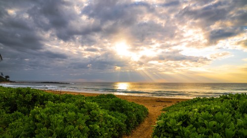 A serene beach scene at sunset, with clouds and rays of sunlight illuminating the ocean and lush greenery in the foreground.