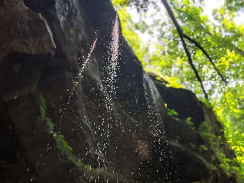Water droplets cascade down a rocky cliff, surrounded by lush green foliage and sunlight filtering through the trees.
