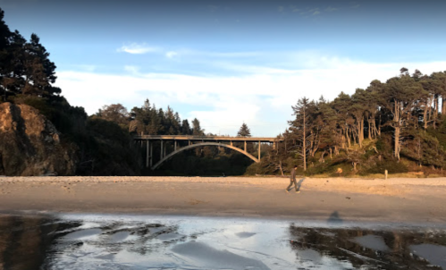 A sandy beach with a bridge in the background, surrounded by trees and a clear blue sky.