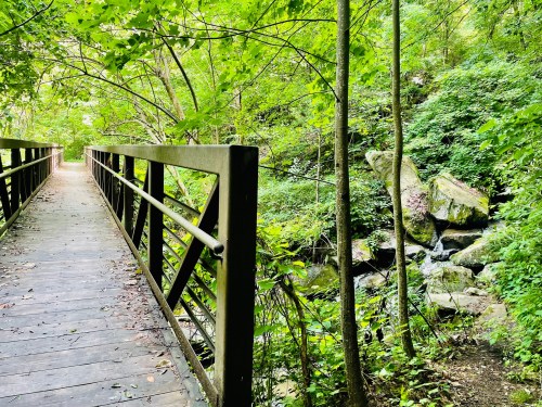 A wooden bridge surrounded by lush greenery, leading to a rocky stream in a serene forest setting.