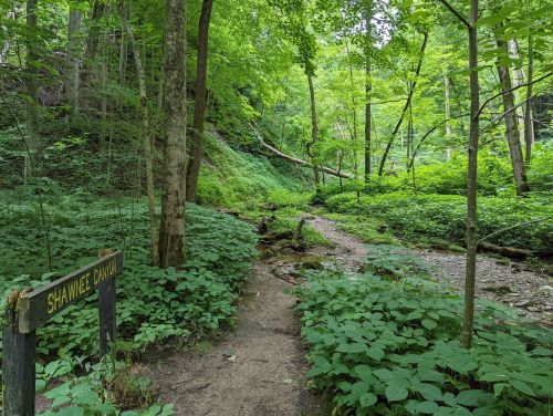 A lush green forest path with a sign for Shawnee Canyon, surrounded by trees and dense foliage.