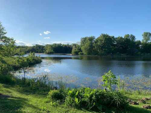 A serene lake surrounded by lush greenery and trees under a clear blue sky with scattered clouds.