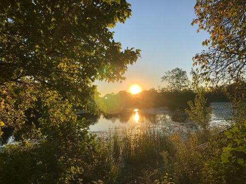 A serene sunset over a calm lake, framed by trees and lush greenery, casting warm reflections on the water.