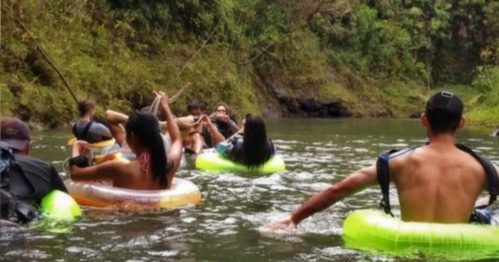 A group of people floating on inner tubes down a river surrounded by lush greenery.