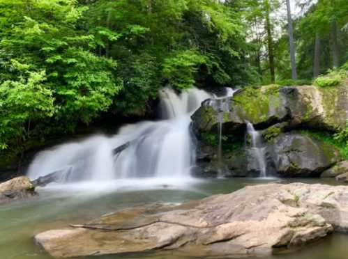 A serene waterfall cascades over rocks, surrounded by lush green trees and foliage.