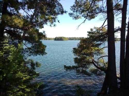 A serene lake view framed by trees, with calm water and a clear blue sky in the background.
