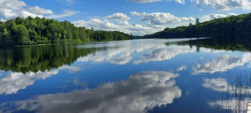 A serene lake reflecting blue skies and fluffy clouds, surrounded by lush green trees.