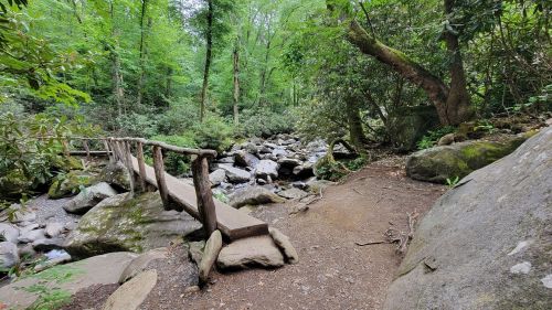 A wooden bridge crosses a rocky stream surrounded by lush green trees and foliage in a serene forest setting.