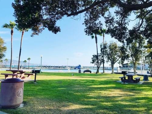A sunny park with green grass, picnic tables, palm trees, and a view of a marina in the background.