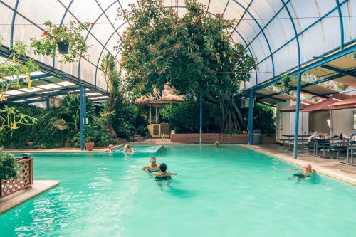 Indoor pool surrounded by greenery, with people swimming and relaxing under a large, transparent roof.