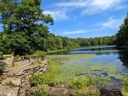 A serene lake surrounded by lush greenery and trees, with a stone wall and wooden railing in the foreground.