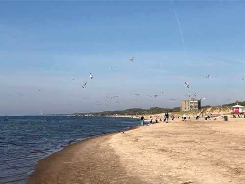 A sandy beach with people walking, seagulls flying, and a calm sea under a clear blue sky.