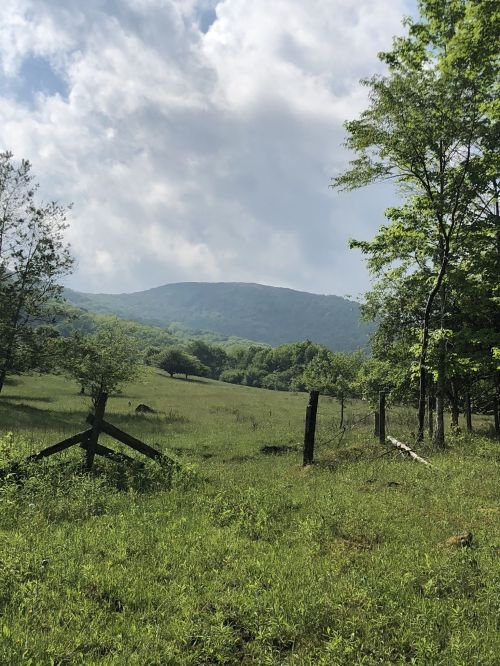 A serene landscape featuring green fields, trees, and distant mountains under a partly cloudy sky.