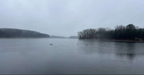 Shoreline at Liberty Reservoir where remnants of Oakland Mills occasionally emerge.