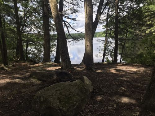A serene view of a lake framed by trees, with rocks in the foreground and clouds reflected on the water's surface.