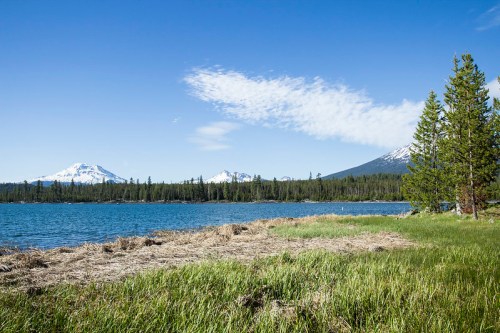 A serene landscape featuring a lake, grassy shore, and snow-capped mountains under a clear blue sky.