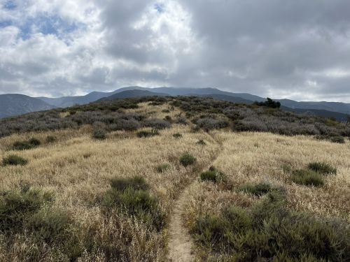 A winding dirt path leads through a grassy hillside with shrubs, under a cloudy sky and distant mountains.