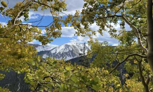 A scenic view of snow-capped mountains framed by vibrant autumn leaves and a partly cloudy sky.