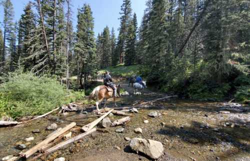 Two horseback riders cross a shallow stream surrounded by tall trees and rocky terrain.