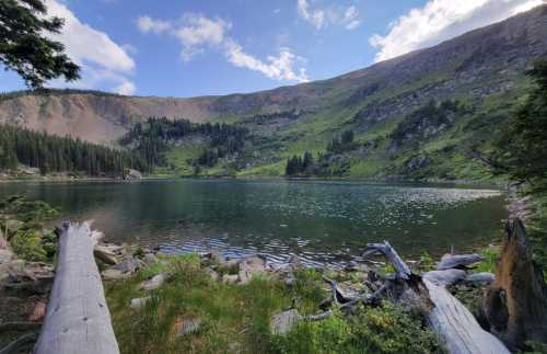 A serene lake surrounded by lush greenery and mountains under a partly cloudy sky. Logs and rocks line the shore.