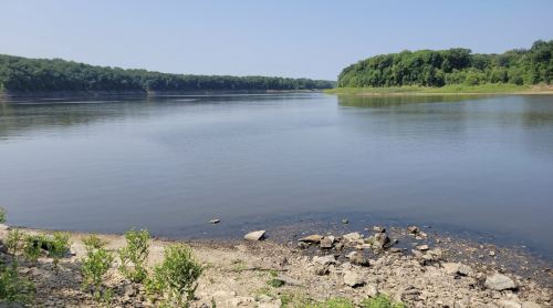 A calm river scene with lush green trees lining the shore and a clear blue sky above.
