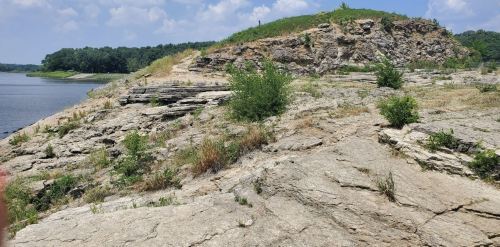 Rocky shoreline with sparse vegetation and a hill in the background, under a blue sky with scattered clouds.