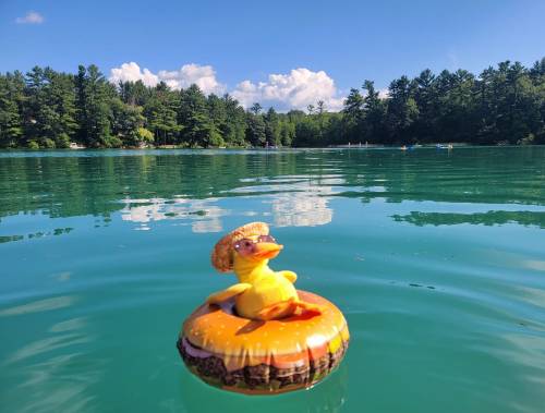 A rubber duck wearing a straw hat floats on a colorful inner tube in a serene lake surrounded by trees.