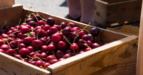 A wooden crate filled with fresh, ripe cherries at a market.