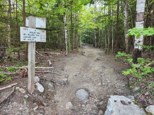 A dirt trail in a forest with a signpost indicating nearby hiking routes and distances.